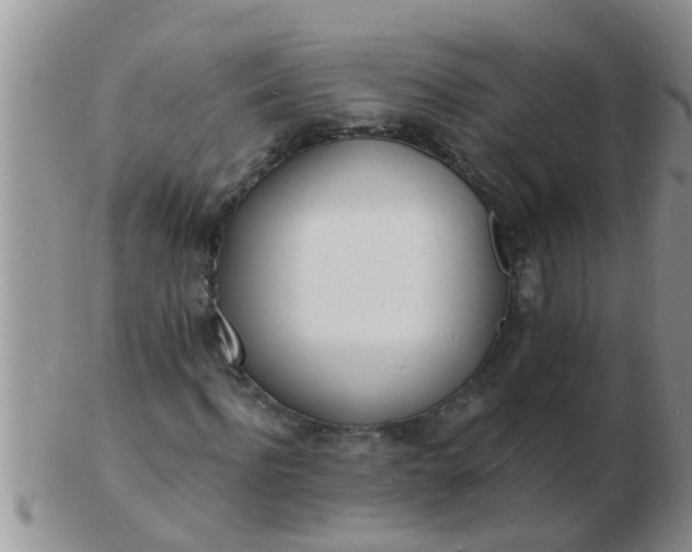 X0000103300916200809122026