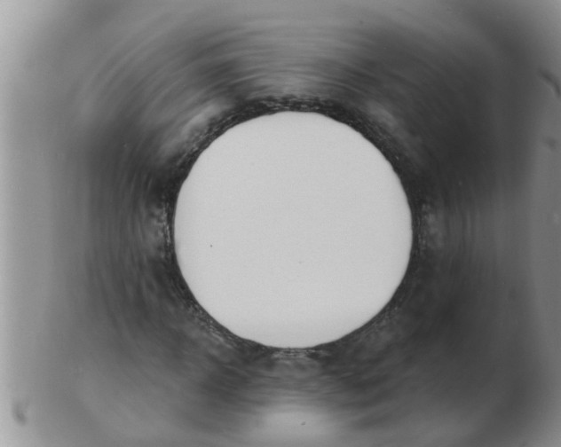 X0000103300918200809122026