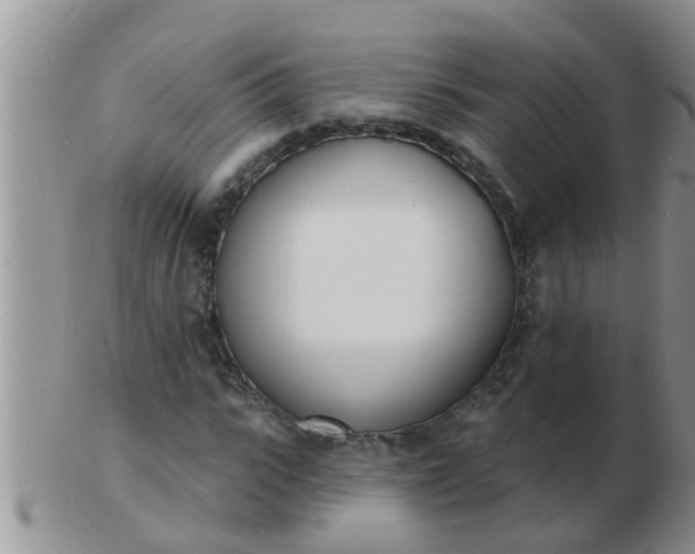 X0000103300919200809122026