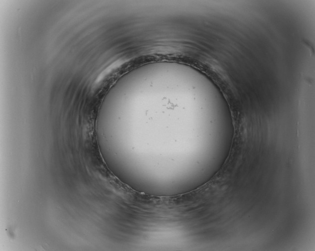 X0000103300920200809122026