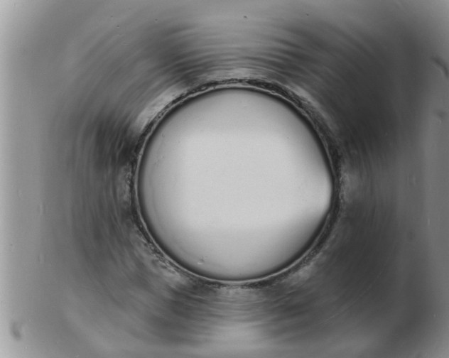 X0000103300921200809122026