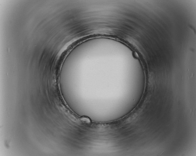 X0000103300923200809122026