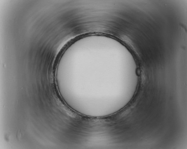 X0000103300924200809122026