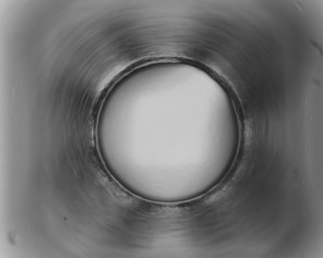 X0000103300925200809122026