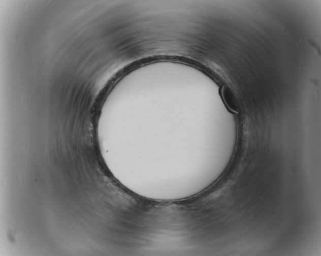 X0000103300926200809122026