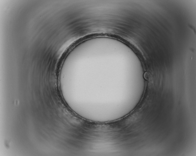 X0000103300927200809122026