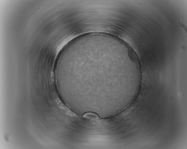 X0000103300928200809122026