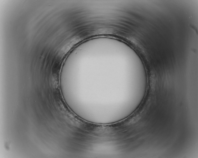 X0000103300929200809122026