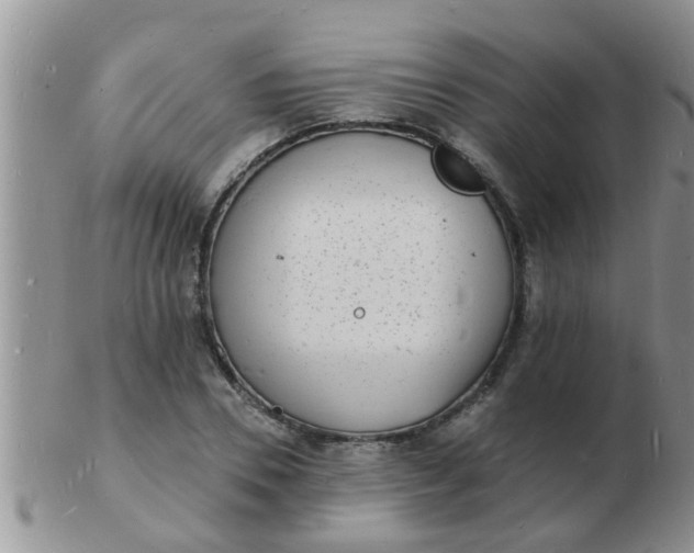 X0000103300930200809122026