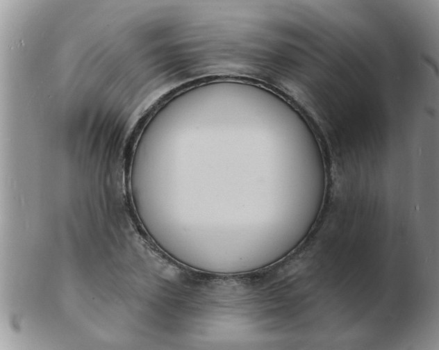 X0000103300931200809122026