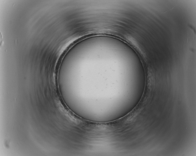 X0000103300932200809122026