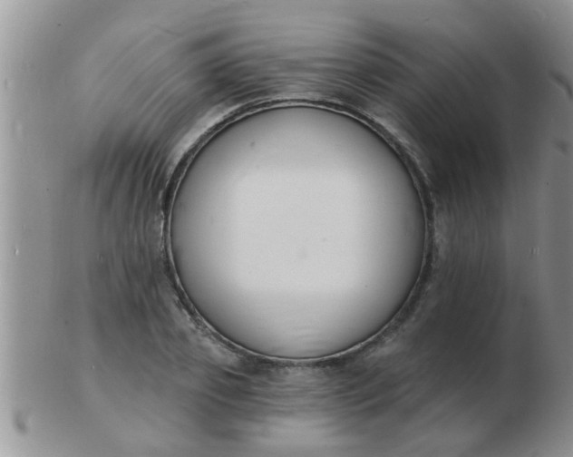 X0000103300933200809122026