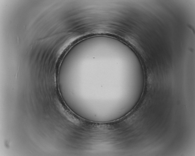 X0000103300934200809122026