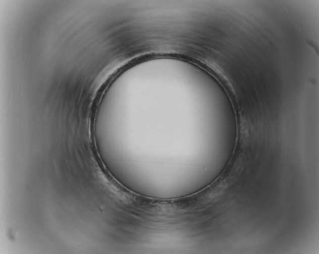 X0000103300935200809122026