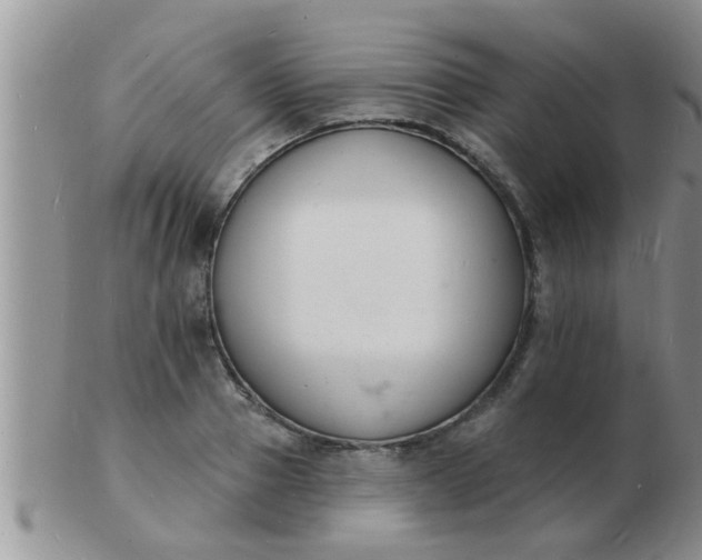 X0000103300937200809122026