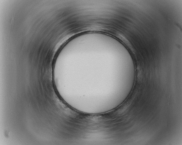 X0000103300939200809122027