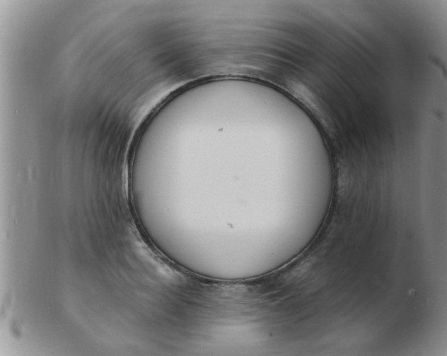 X0000103300940200809122027