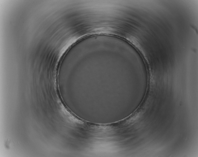 X0000103300941200809122027