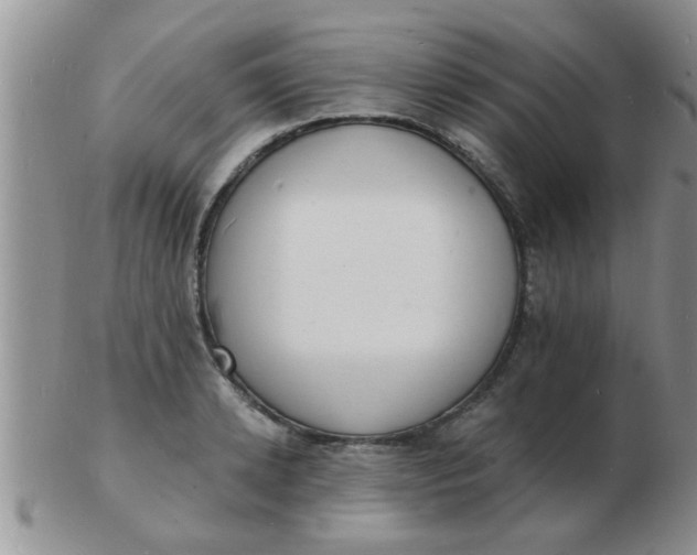 X0000103300942200809122027