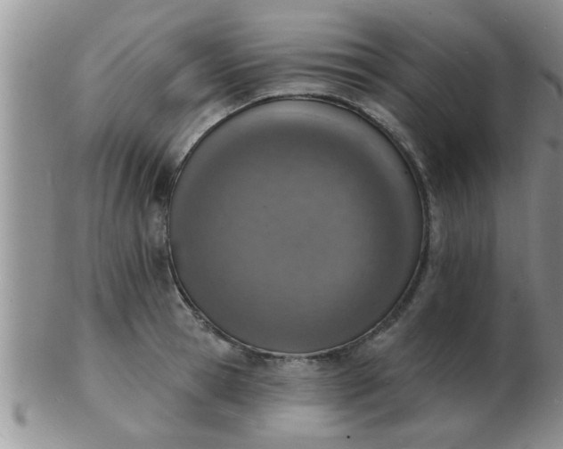 X0000103300945200809122027