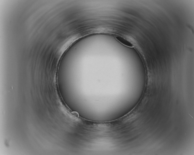 X0000103300946200809122027