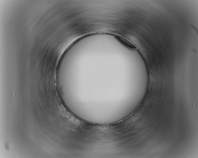 X0000103300948200809122027