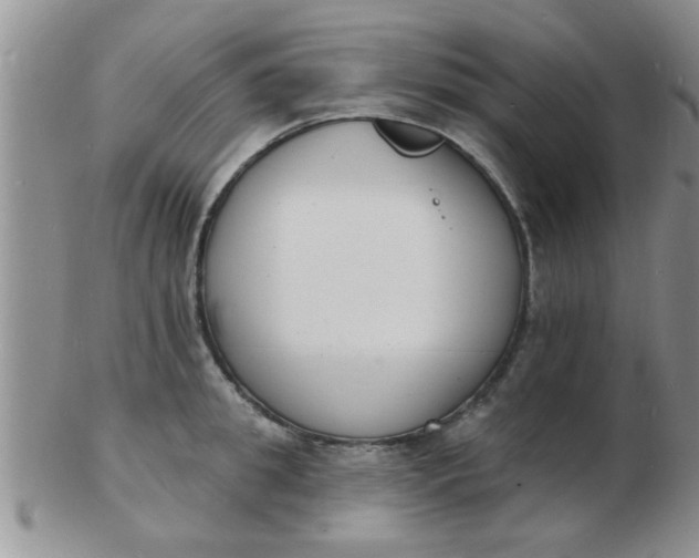 X0000103300949200809122027