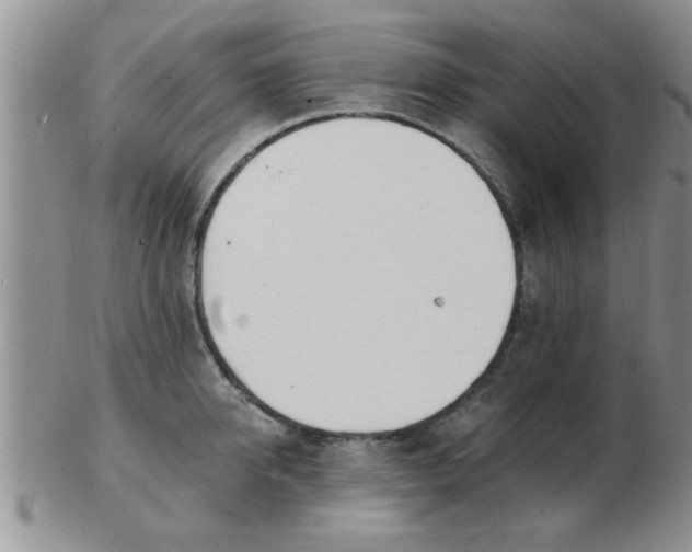 X0000103300950200809122027