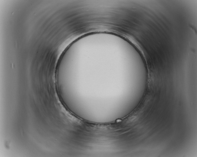 X0000103300951200809122027