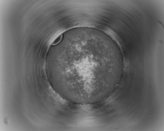 X0000103300952200809122027