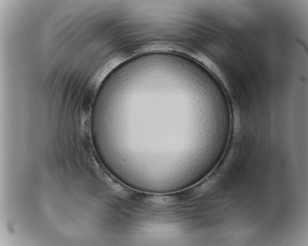 X0000103300953200809122027