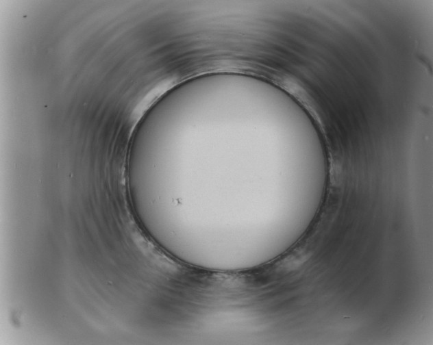 X0000103300954200809122027