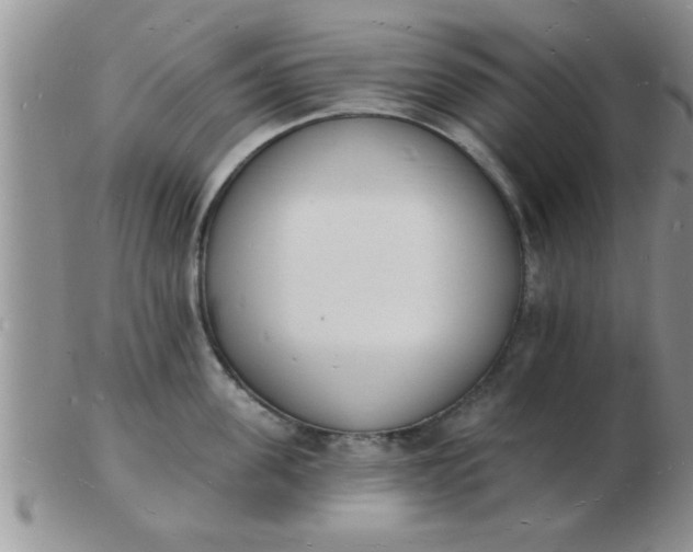 X0000103300955200809122027