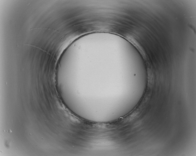 X0000103300956200809122027