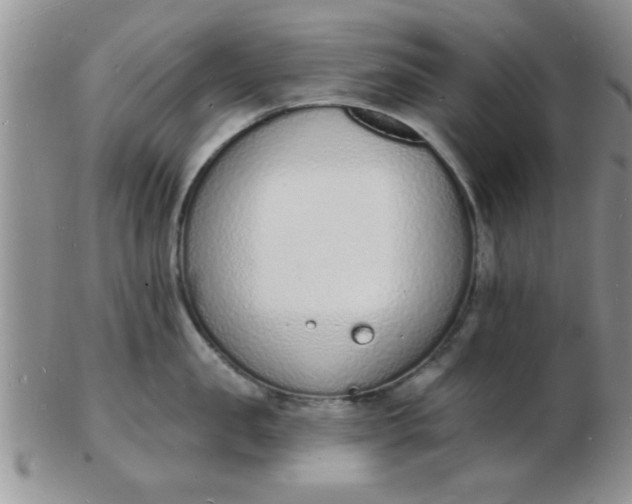 X0000103300957200809122027