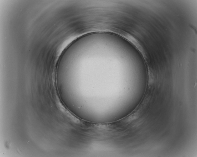 X0000103300958200809122027