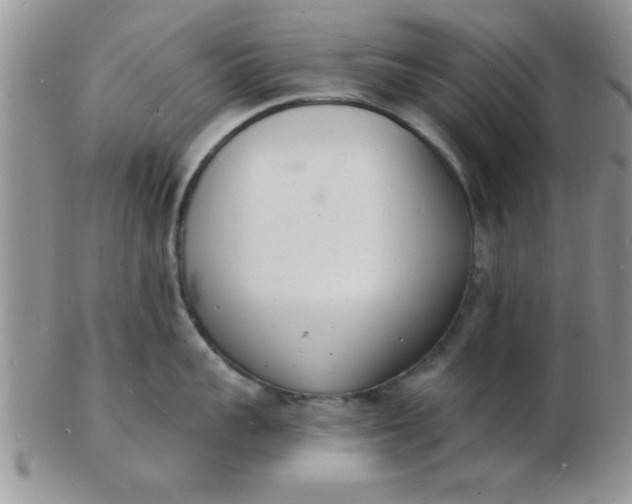 X0000103300959200809122027