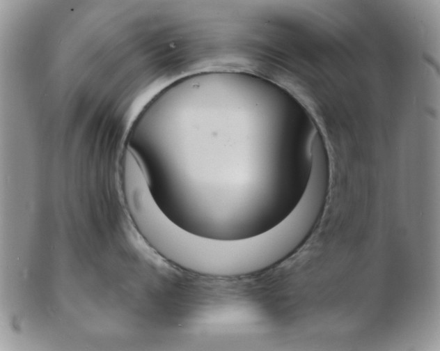 X0000103300960200809122027