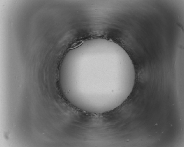 X0000103300961200809122026