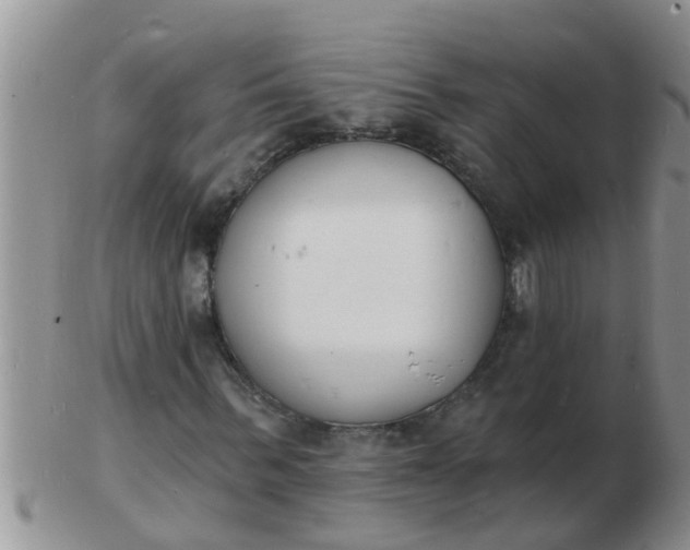 X0000103300963200809122026