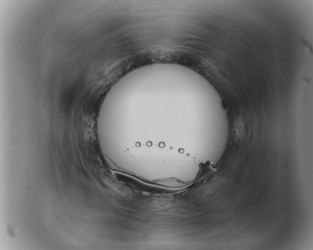 X0000103300964200809122026