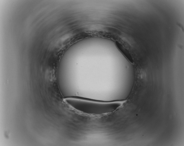 X0000103300965200809122026