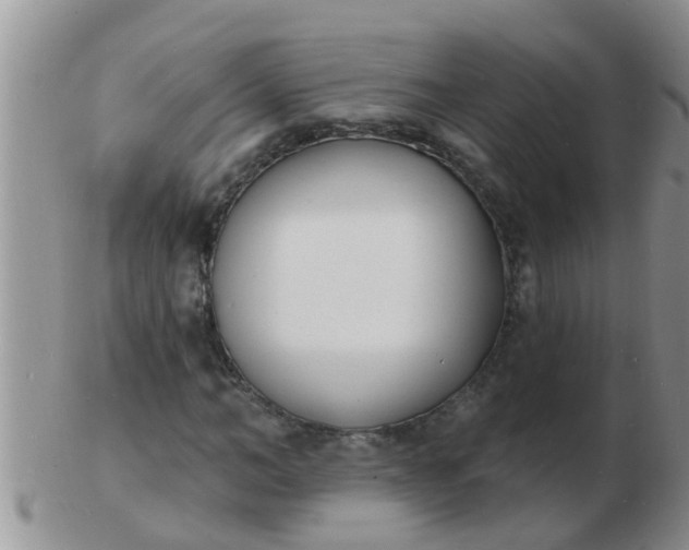 X0000103300966200809122026