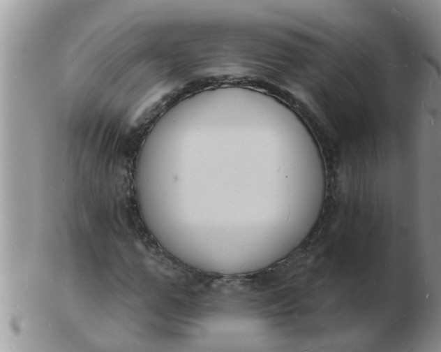 X0000103300967200809122026