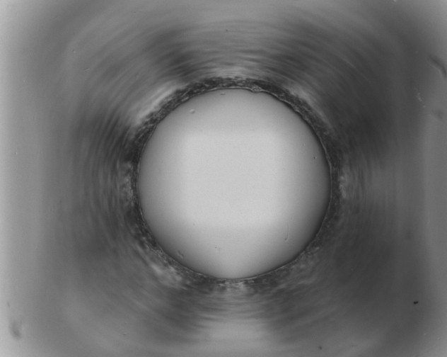 X0000103300968200809122026