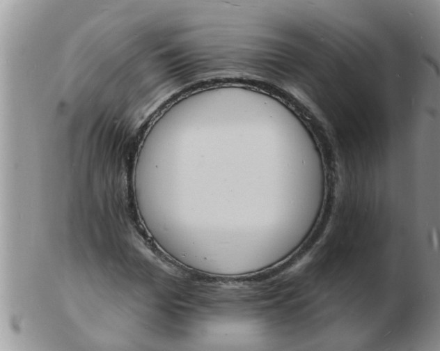 X0000103300969200809122026