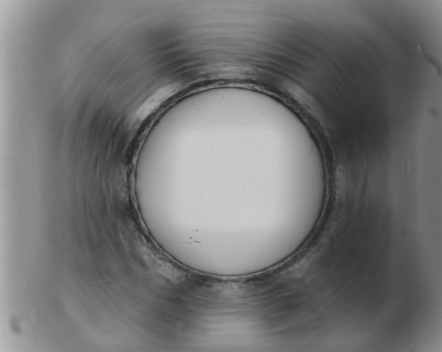 X0000103300970200809122026