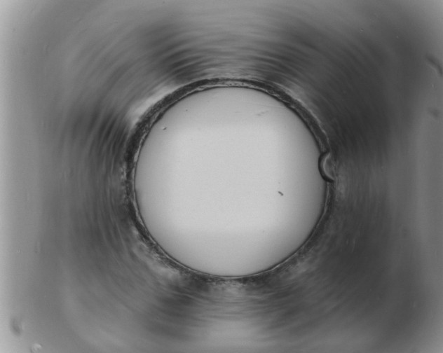 X0000103300971200809122026