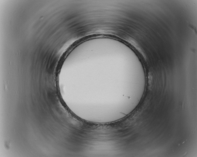 X0000103300972200809122026