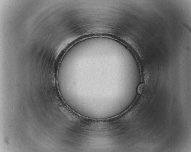 X0000103300973200809122026